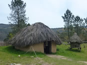 Parque Arqueolxico de Campo Lameiro